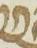Letter - #15934