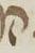 Letter - #15957