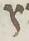 Letter - #17126