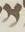 Letter - #17137