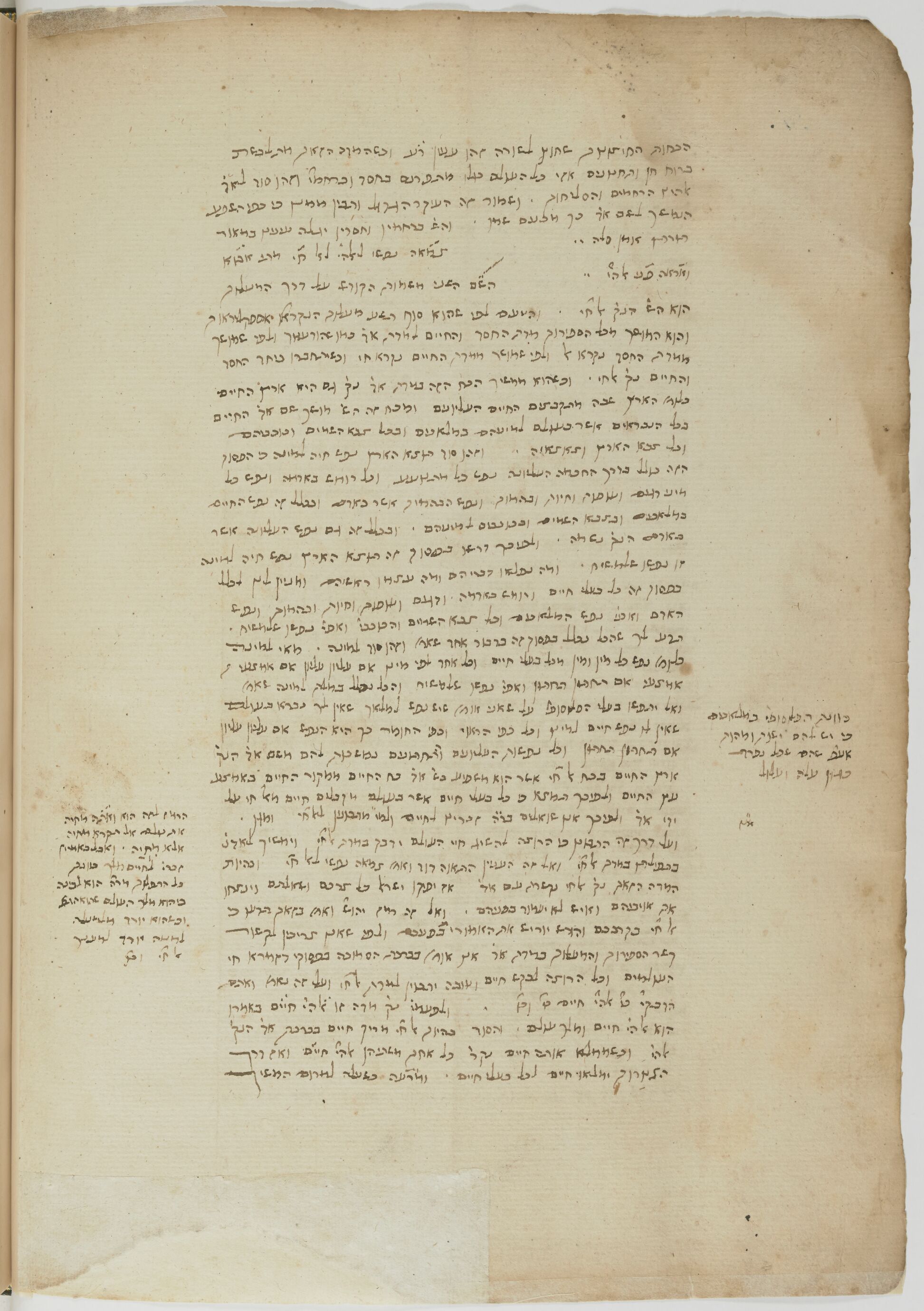 Image of item, e.g. a manuscript page