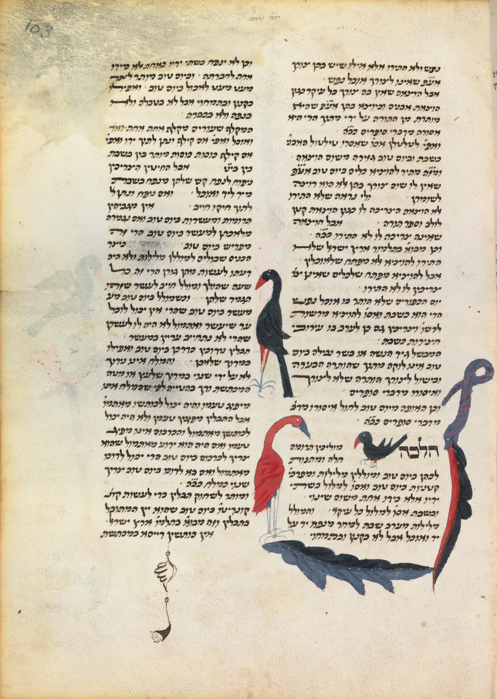 Image of item, e.g. a manuscript page