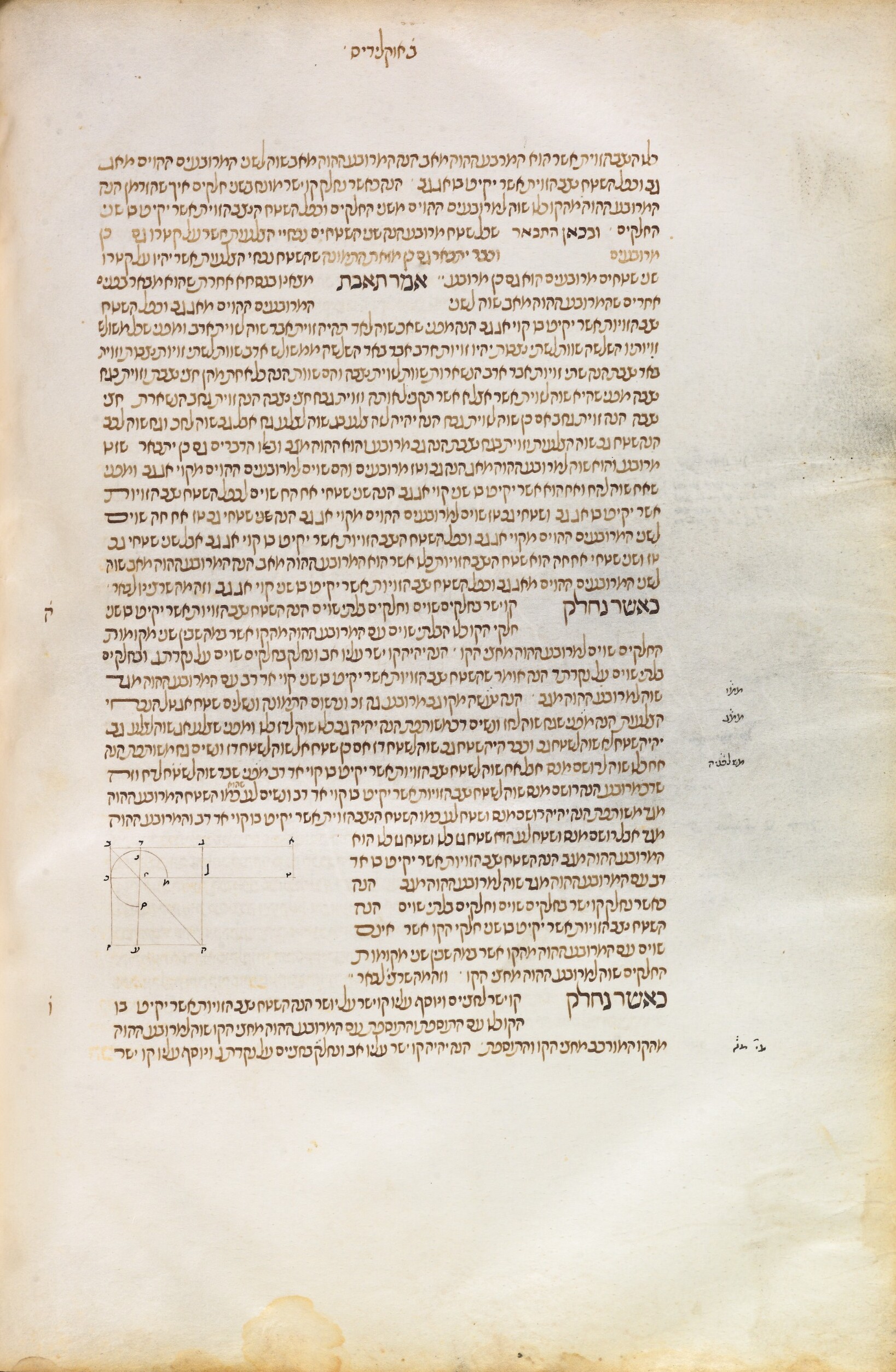 Image of item, e.g. a manuscript page