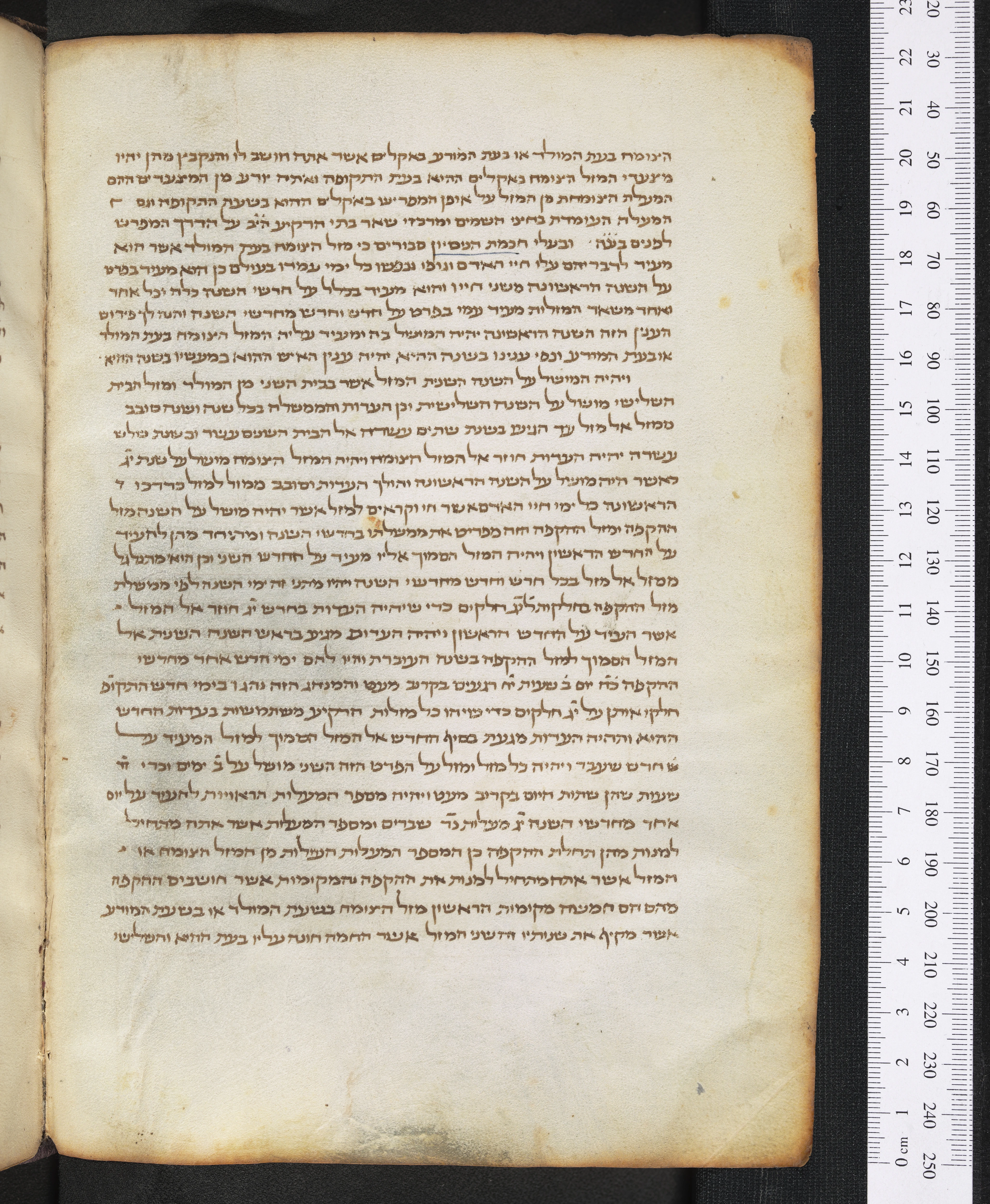 Image of item, e.g. a manuscript page