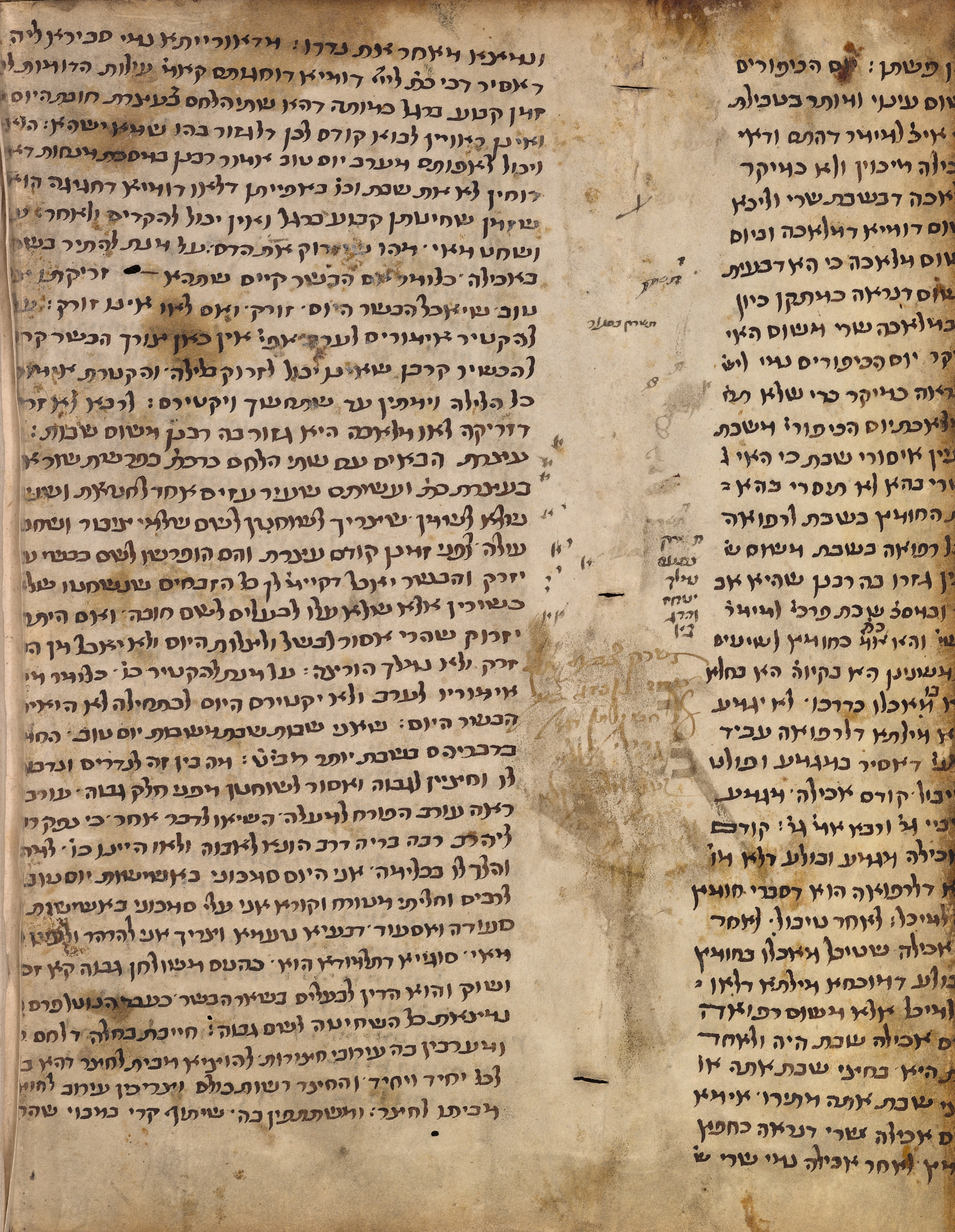 Image of item, e.g. a manuscript page