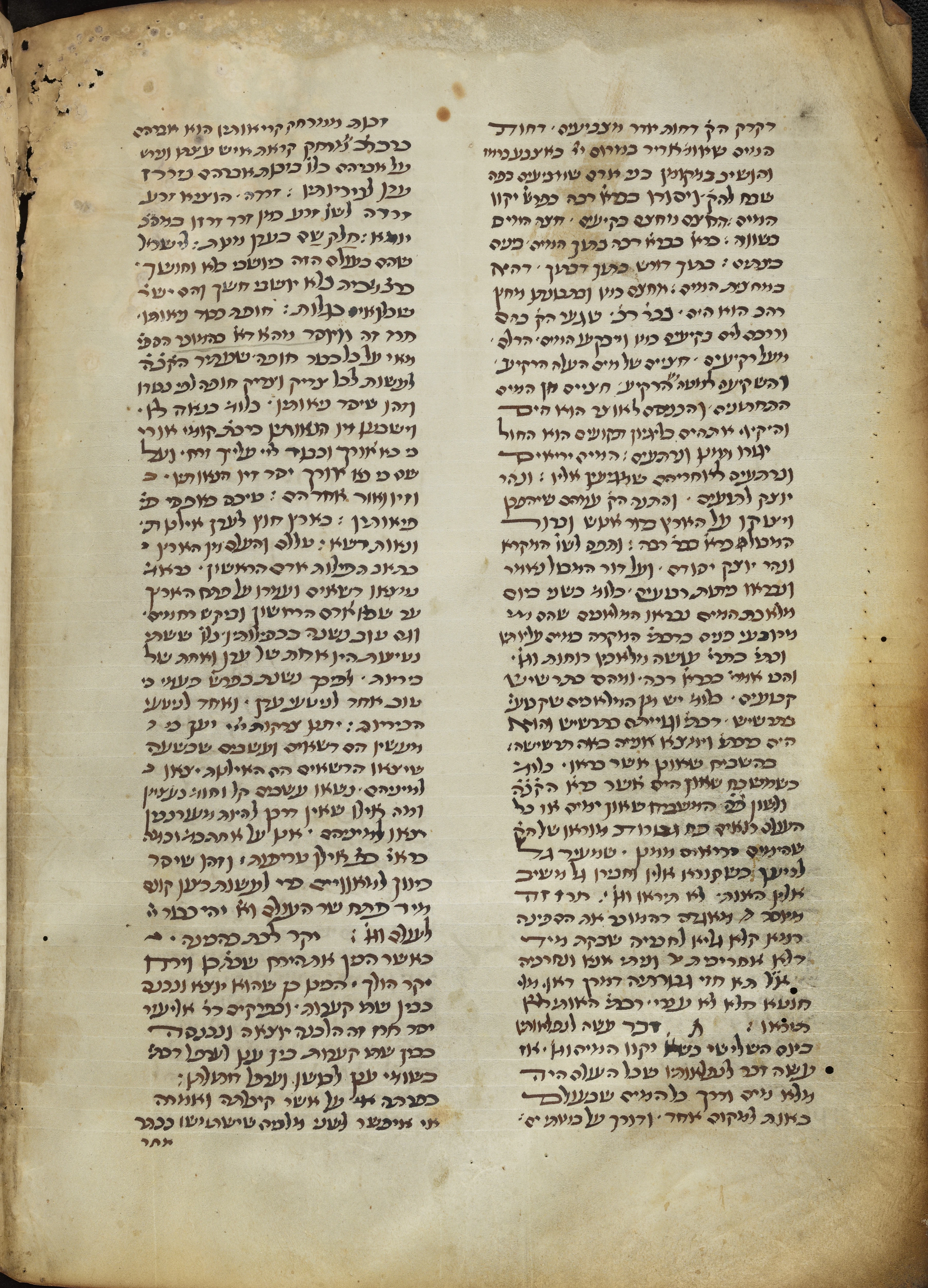 Image of item, e.g. a manuscript page