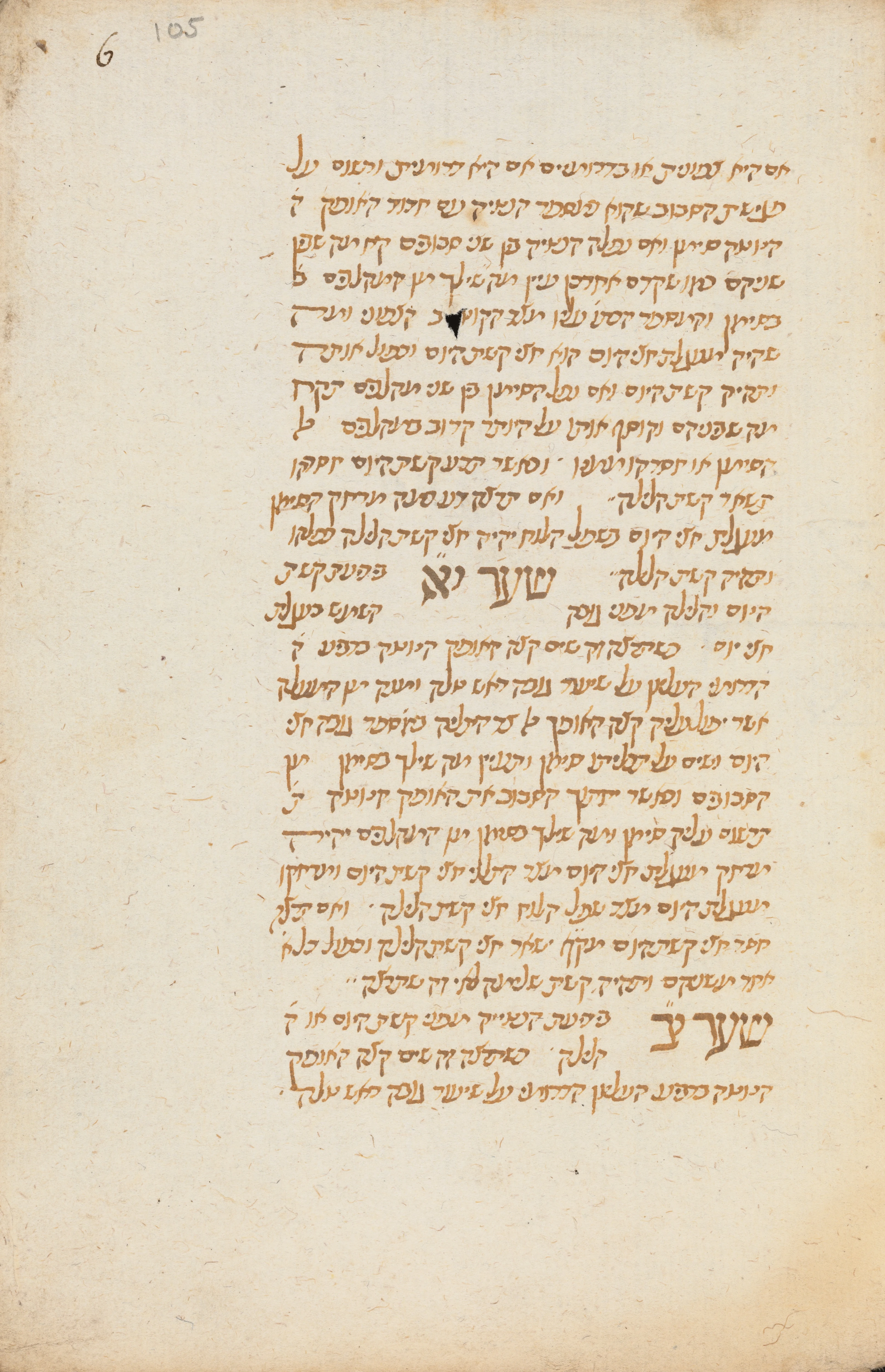 Image of item, e.g. a manuscript page