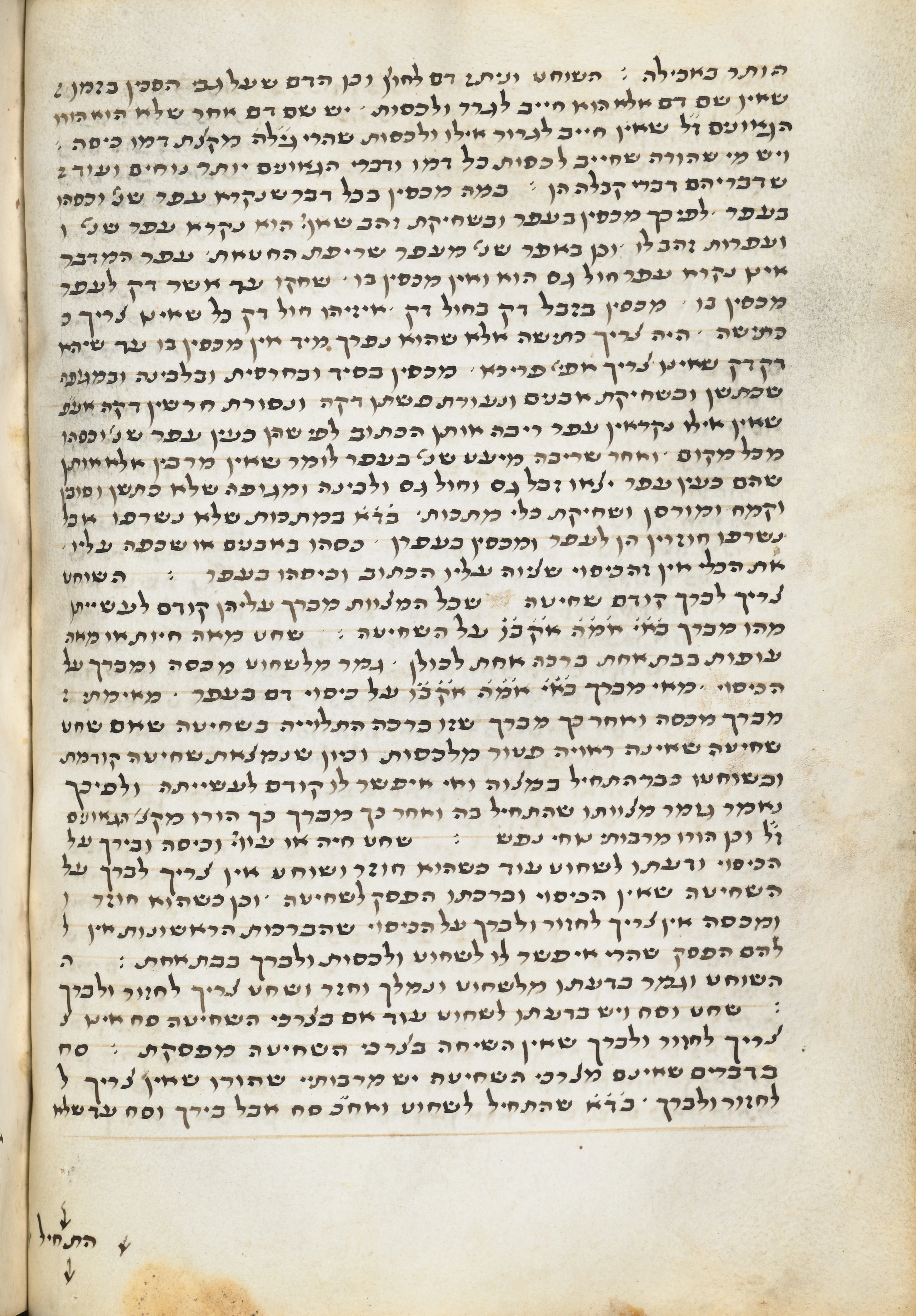 Image of item, e.g. a manuscript page