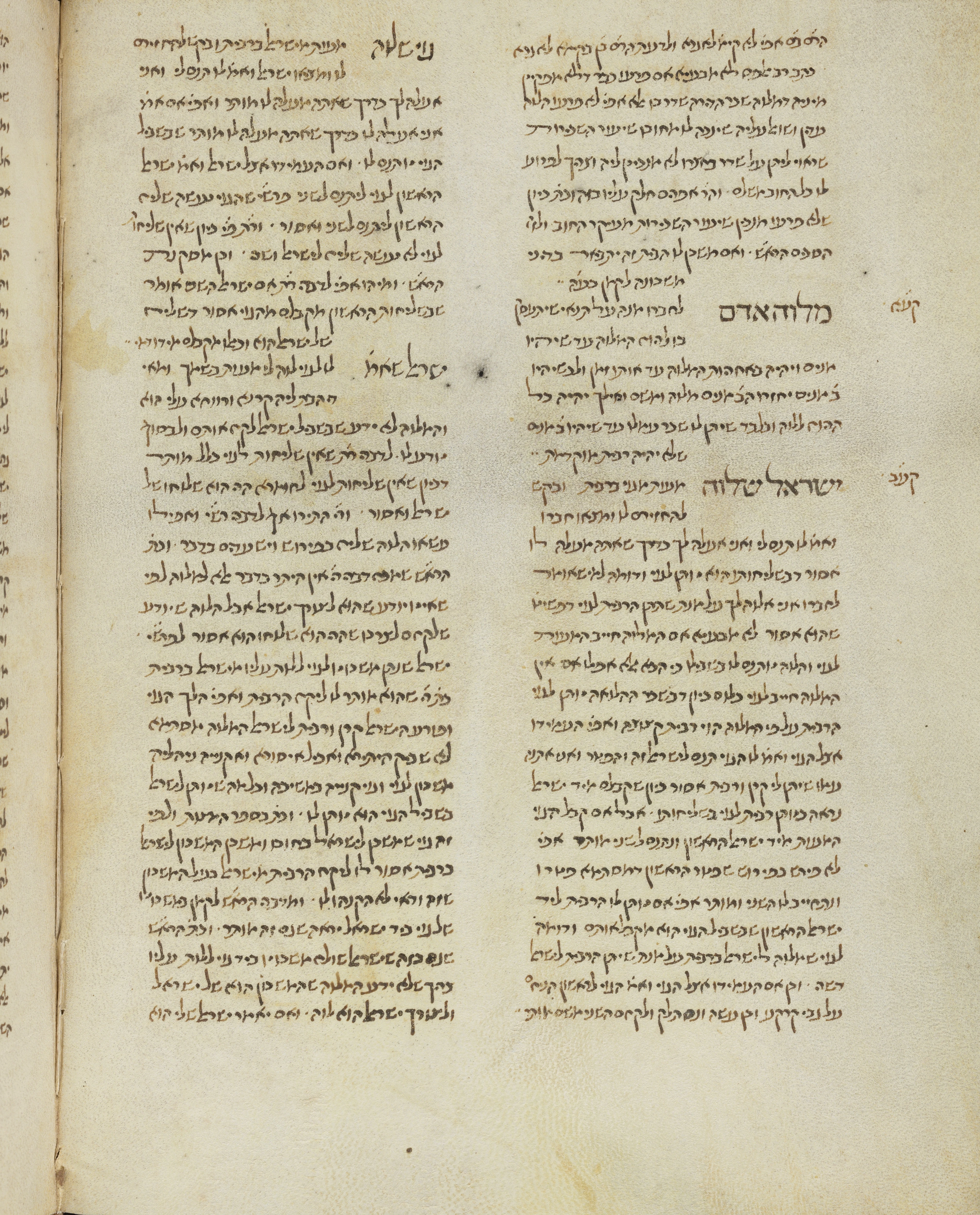 Image of item, e.g. a manuscript page