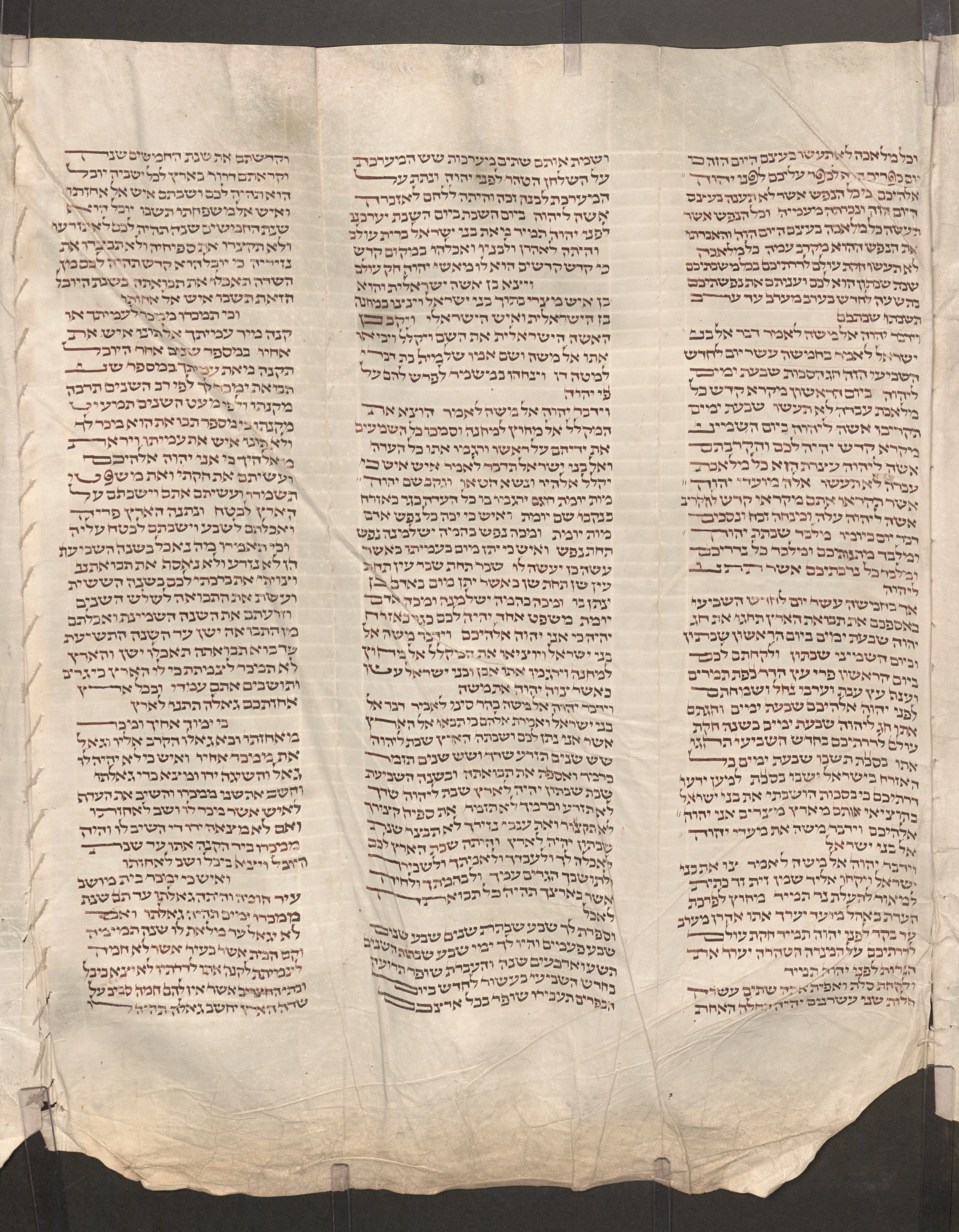 Image of item, e.g. a manuscript page