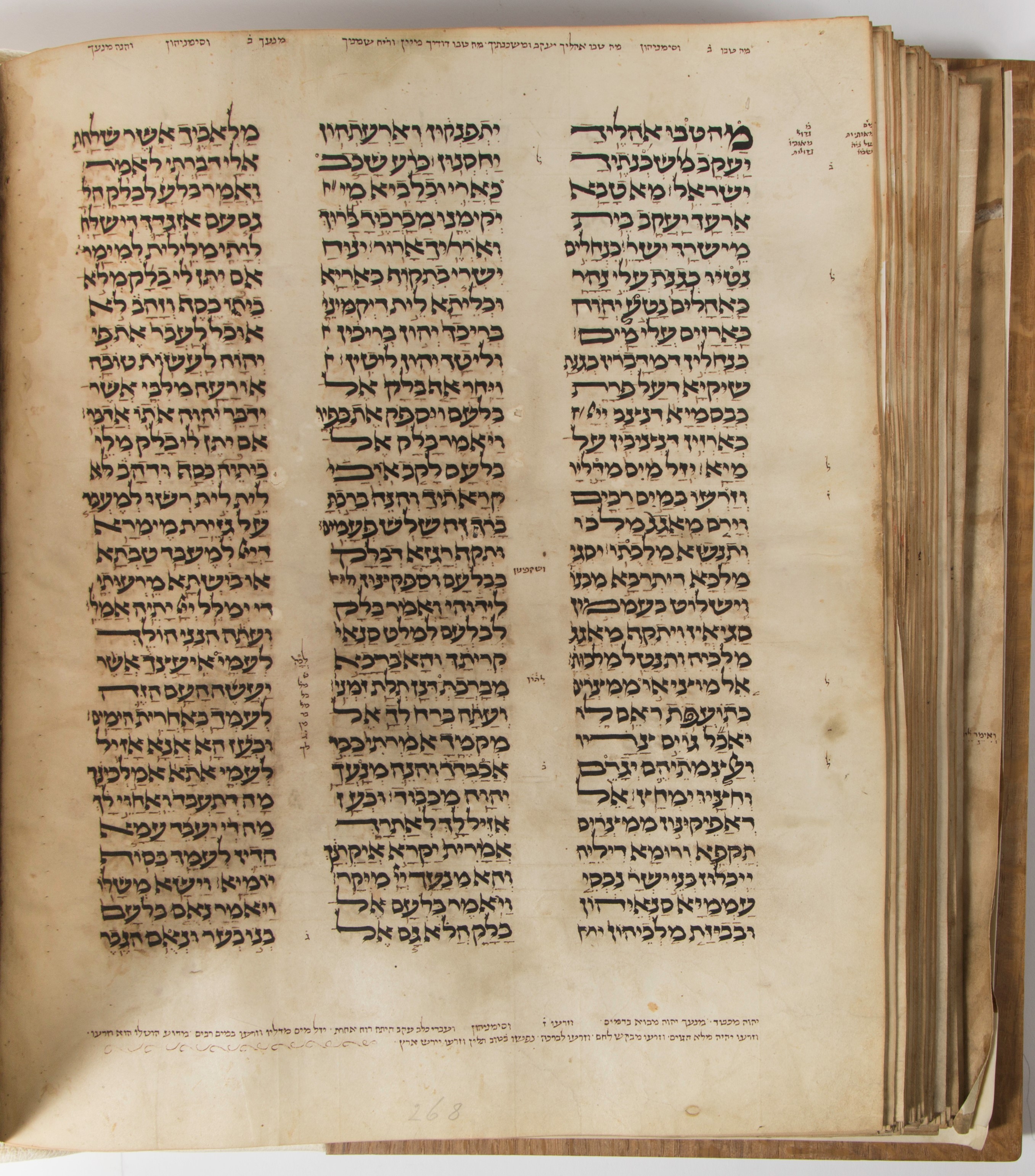 Image of item, e.g. a manuscript page